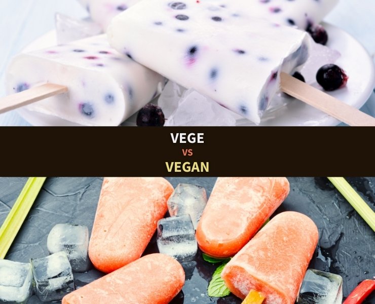 Vege vs vegan ice cream