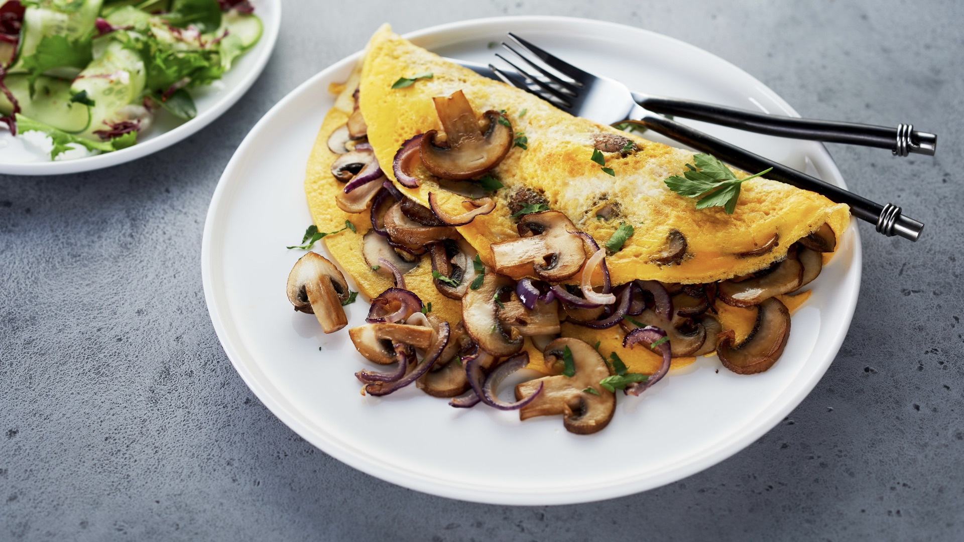 The omelette